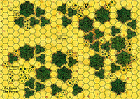 La Forêt
