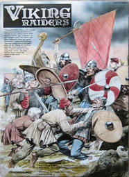 Viking Raiders