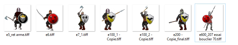 essais.jpg