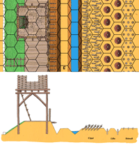 Plan de coupe de la Contrevallation